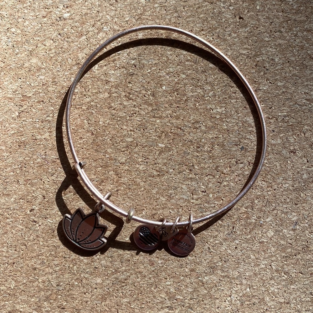 Rose Gold Bundle - image 6